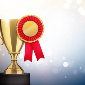 ورشة مهارات إعداد ملفات الترشح للأوسمة (جوائز التميّز الحكومي)