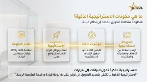 مكونات الاستراتيجية الذكية